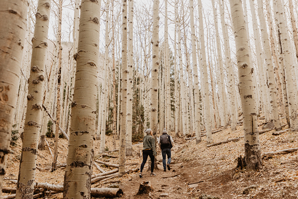 arizona elopement Flagstaff